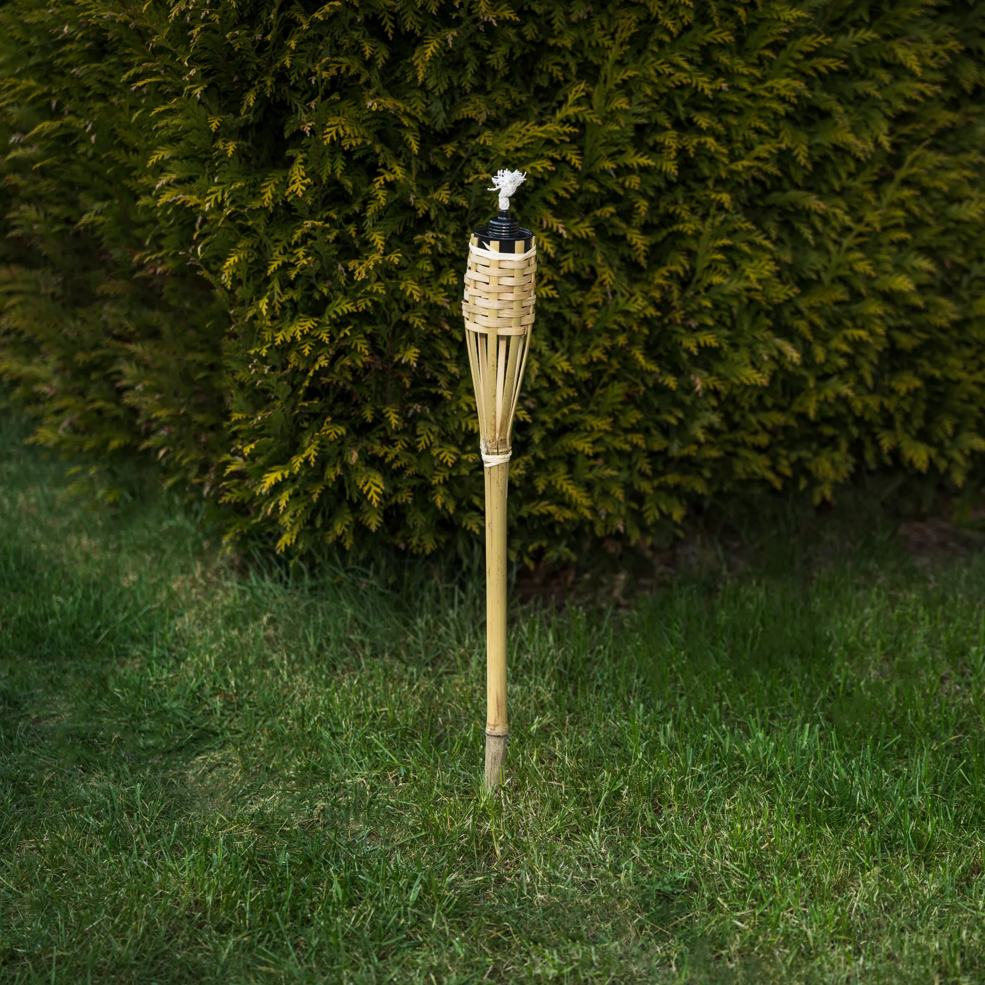 Bambusfakkel natur 60cm