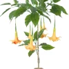Kunstig Daturatræ orange 120 cm
