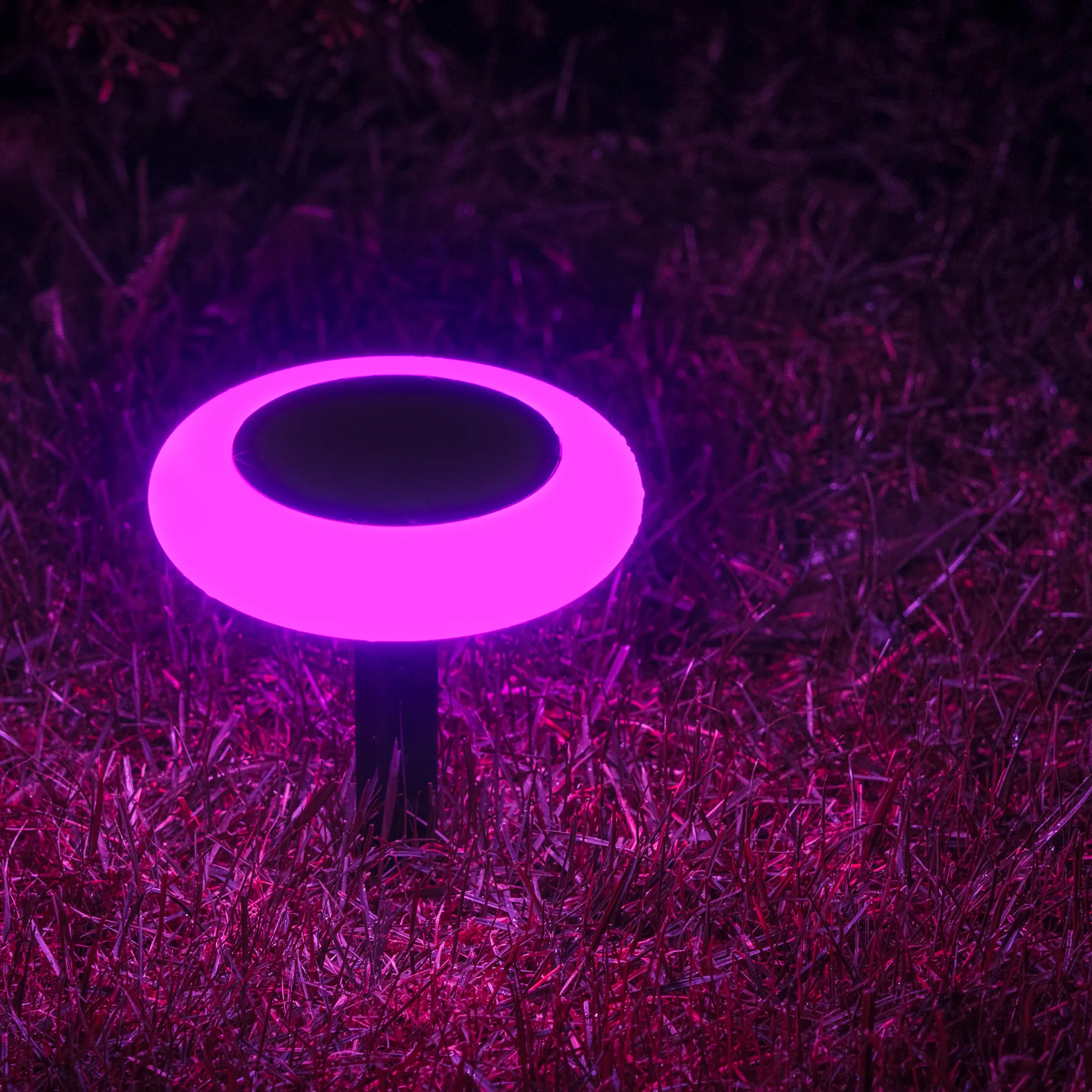 Solcellelampe Torch 10LED